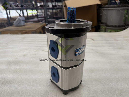 Sany Zware industrie Betonpompbevestigingen Dubbele tandwielpomp B220301000413